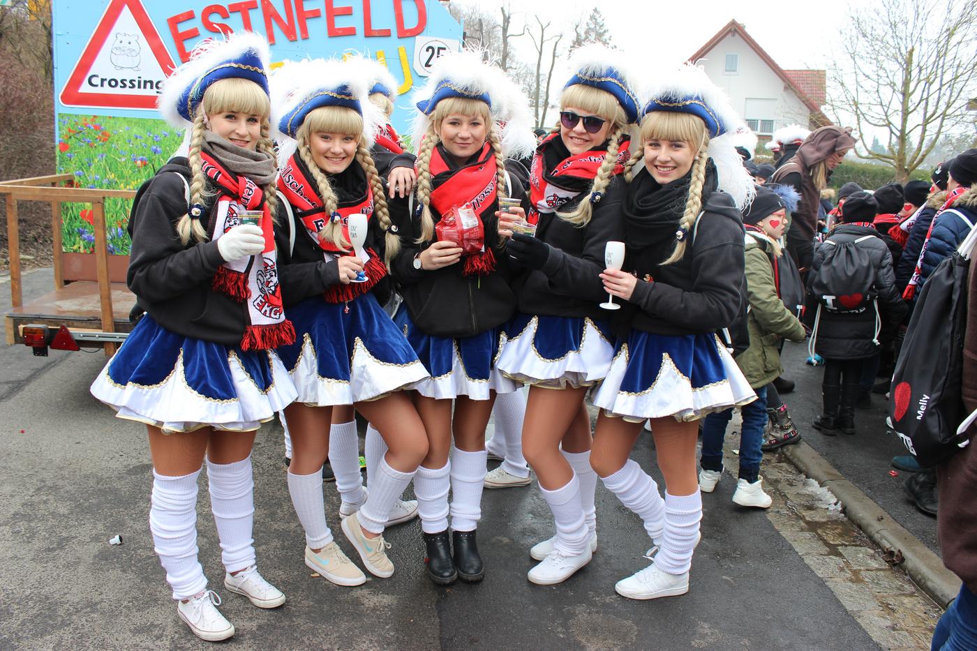 Faschingszug Rimpar